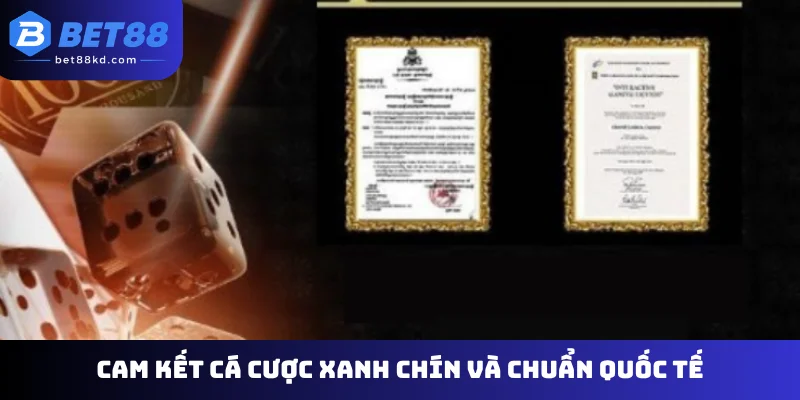 Cam kết cá cược xanh chín và chuẩn quốc tế