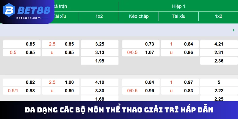 Đa dạng các bộ môn thể thao giải trí hấp dẫn