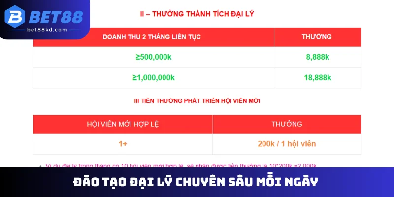 Đào tạo đại lý chuyên sâu mỗi ngày